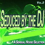 Seduced By The Dj, Vol 2 - A Sensual House Selection