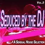 Seduced By The Dj, Vol 3 - A Sensual House Selection