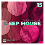 The Sound Of Deep House, Vol 15