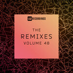 The Remixes Vol 48
