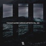 Tzunami Waves Various Artists, Vol 1