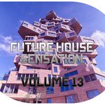 Future House Sensation, Vol 13 (Best Selection Of Clubbing House Tracks)