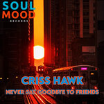Never Say Goodbye To Friends (Original Mix)