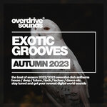 Exotic Grooves 2023