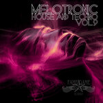 Melotronic House And Techno, Vol 9