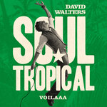 Soul Tropical (Voilaaa Remix)