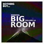 Nothing But... Essential Big Room, Vol 14