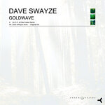 Goldwave (Pole Folder & CP Remix)