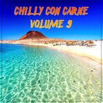Chilly Con Carne, Vol 9 (Best Selection Of Lounge & Chill House Tracks)