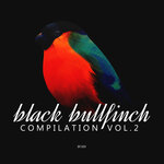 Black Bullfinch Compilation, Vol 2