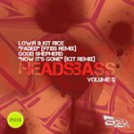 HEADSBASS VOLUME 12 - PART THREE