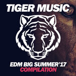 EDM Big Summer '17