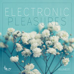 Electronic Pleasures, Vol 1