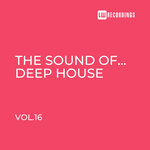 The Sound Of Deep House, Vol 16