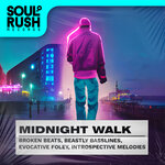 Midnight Walk (Sample Pack WAV)