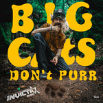 Big Cats Don't Purr EP