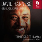 Tambores Te Llaman (David Harness Remix)