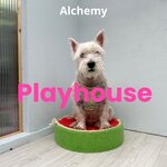 Playhouse