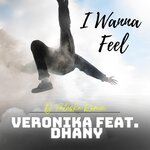 I Wanna Feel (DJ Falaska Remix)