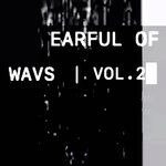 Earful Of Wavs, Vol 2