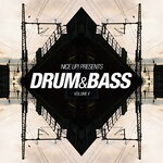 NICE UP! Presents Drum & Bass, Vol 2