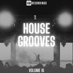 House Grooves, Vol 16