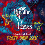Clarke & Bell (Matt Pop Mixes)