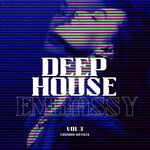 Deep-House Embassy, Vol 3