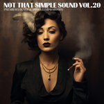 Not That Simple Sound Vol 20 (Premium Lounge & Downtempo Moods)