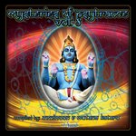 Mysteries Of Psytrance, Vol 8 (Album DJ Mix Version)