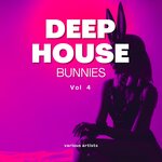 Deep House Bunnies Vol 4