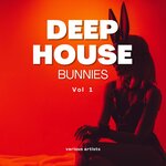 Deep House Bunnies Vol 1