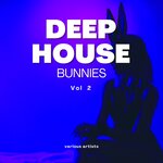 Deep House Bunnies Vol 2