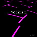 Vocals #1 (Mixed By Disco Van)