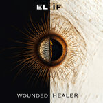 Wounded Healer