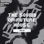 Nothing But... The Sound Of Future House, Vol 24