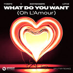 What Do You Want (Oh L'Amour) (Stutter Techno)
