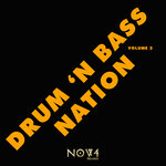 Drum 'N Bass Nation, Vol 2