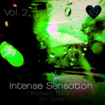 Intense Sensation, Vol 2 (Ambient Music For Love)