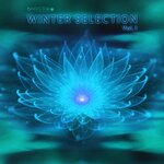 Bass Star Records Winter Selection, Vol 1