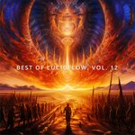 Best Of Lucidflow, Vol 12