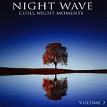 Night Wave Vol 2 - Chill Night Moments