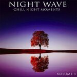 Night Wave Vol 3 - Chill Night Moments