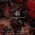 Collective Process Vol 10