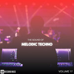 The Sound Of Melodic Techno, Vol 17