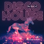 The Best Of Disco House Vol 2