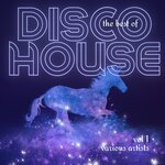 The Best Of Disco House Vol 1