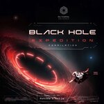 Black Hole Expedition
