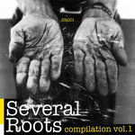 Several Roots Compilation, Vol 1
