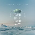 Right Here Right Now (Extended Mix)